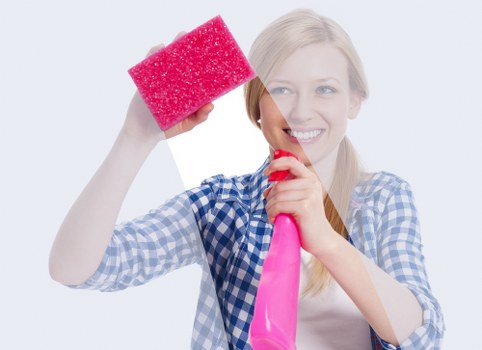 Professional odour removal process for carpets