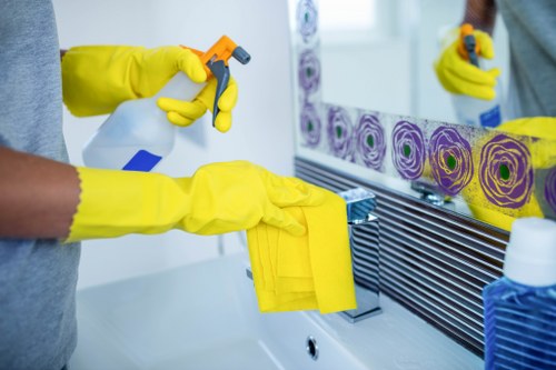Common household stains requiring professional cleaning in Enfield Lock