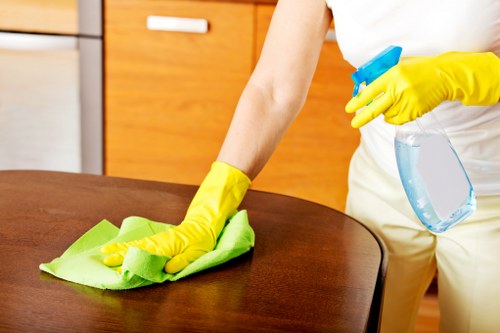 Vacuuming a mattress to remove dust and allergens